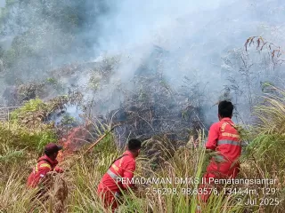 Hutan Terbakar di Samosir, Diduga Sengaja Dibakar Tengah Malam ?