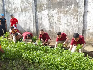 Panen Sayur Mayur, WBP Rutan Kelas IIB Rengat Wujud Ketahanan Pangan Nasional