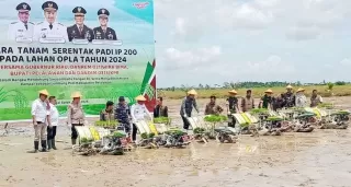 Pemkab Pelalawan Menuju Swasembada Pangan