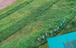 Pionir Kontraktor Infrastruktur Hijau, PTPP Terapkan Inovasi Hydroseeding di Proyek Bendungan BT