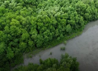 LindungiHutan Ajak Semua Pihak Tingkatkan Aksi Karbon Nyata di Hari Nol Emisi