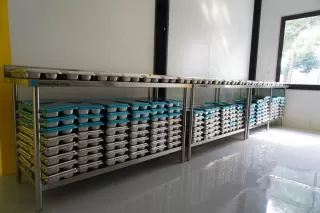 KS Produksi Food Tray dari Bahan Minyak Nabati Dukung Program MBG