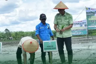 Bupati Fadhil Arief Ingin Masyarakat Perkuat Sektor Pangan