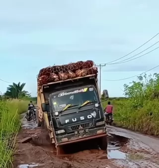 Harga TBS Mitra Swadaya Riau Turun Periode 8 hingga 14 Oktober 2025, Ini Penyebabnya