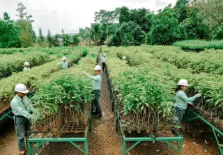 MIND ID Kokohkan Fondasi ESG Hilirisasi dan Masa Depan Berkelanjutan Indonesia