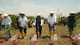 Dukung SPN, Holding PTPN Laksanakan Tanam Perdana Padi Gogo di Lahan PSR di Muara Enim