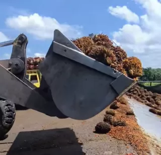 Mau Program B50 Untung! GIMNI: Indonesia Mesti Contoh Brazil