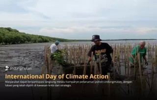 International Day of Climate Action: Saatnya Bumi Butuh Tindakan Nyata Tanam Pohon Solusi Konkret