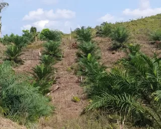 Dana Bantuan Naik Tapi PSR Masih Lambat: Di mana Masalahnya?