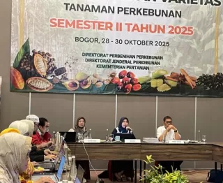 Dirjenbun Dorong Keberagaman Genetik Lewat Sidang Pelepasan Varietas Perkebunan 2025