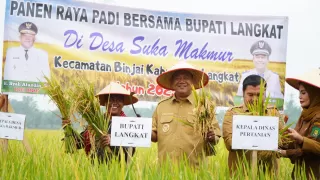 Dukung Ketahanan Pangan, Bupati Langkat Resmikan Kilang Padi Sukma Jaya