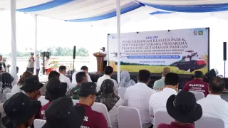 Bupati Apresiasi BI Dukung Klaster Padi untuk Perkuat Ketahanan Pangan Langkat