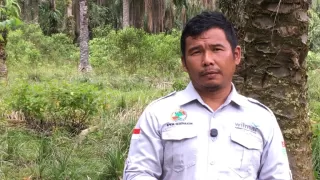 Sertifikasi ISPO Gotting Sidodadi