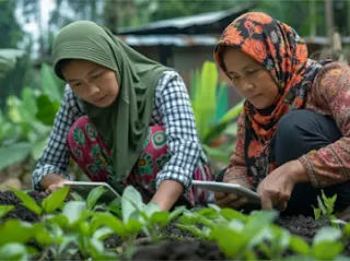 KOLTIVA Bersama Unilever, FCDO dan EY Dukung Sugata Transformasi Rantai Pasok Kakao