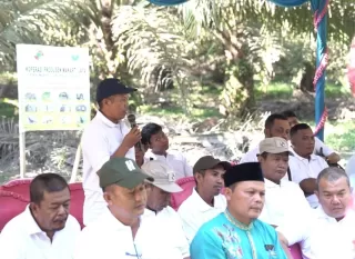 PalmCo, Subholding Holding PTPN Pahlawan Baru Ekonomi Rakyat