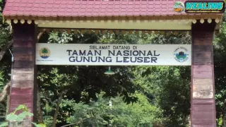 PTPN I Latih Pemandu Wisata TNGL Implementasi Program TJSL Holding Perkebunan Nusantara