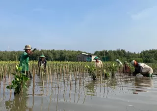 LindungiHutan Ajak Publik Rayakan Hari Menanam Pohon dengan Aksi Nyata di Tengah Krisis Iklim