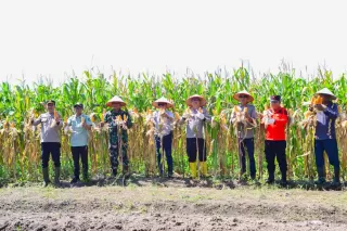 Resmikan Rumah Singgah Desa dan Panen Raya Jagung Pipil di Teluk Samak, Ini Asa H Asmar