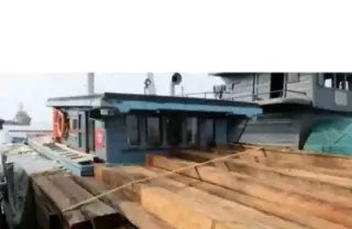 Total 1.250 Balok Kayu Meranti Ilegal Disita, LM2R Desak KPHL Transparan dan Usut Hingga ke Cukong