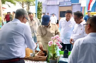 Kepala Negara Dorong Hilirisasi Gambir, PTPN Group Siap Perkuat Nilai Tambah Komoditas Rakyat
