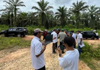 Hilirisasi Pangan Nasional, Holding PTP Lewat PalmCo Siapkan Lahan Peternakan Ayam Terintegrasi