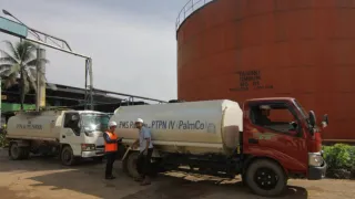 Holding PTPN Dorong Digitalisasi Rantai Pasok, PalmCo Integrasikan Logistik Lewat PalmGO dan Palmstok