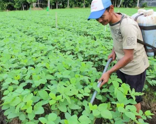 Lewat Inovasi Pupuk Hayati Enero Holding PTPN Dorong Pertanian Berkelanjutan