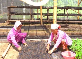 MIND ID Bina Lebih dari 10.000 UMKM Perkuat Ekonomi Lokal dan Tekan Kemiskinan