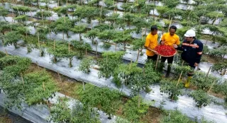 Saat Mantan PETI Bersama Bangun Pongkor