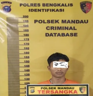 Mekanik Lagi Antre Bikin SIM A Ditangkap Polisi Gegara Gelapkan Motor dan Accessoris