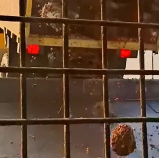 Harga TBS Kelapa Sawit Tembus Rp3.266 per Kg Saat Lebaran 2026 di Kaltim