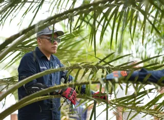 Siaga Hadapi Kemarau, PalmCo Perkuat Deteksi Dini Karhutla dan Strategi Agronomi