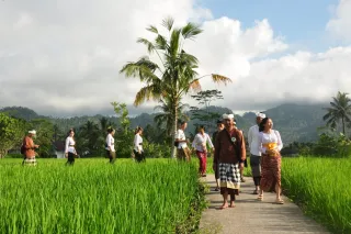 Maharasa Gastronomy Experience Angkat Spiritualitas Pangan dan Tradisi Luhur Bali