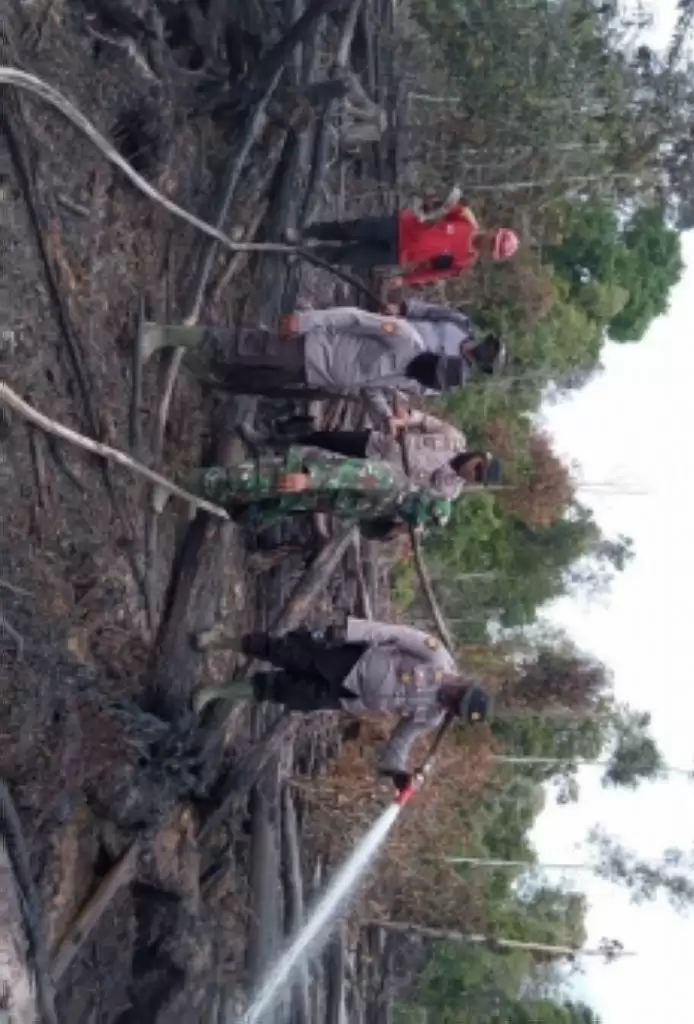 Terbakar, 2 Hektare Lahan di Pekanbaru Didinginkan