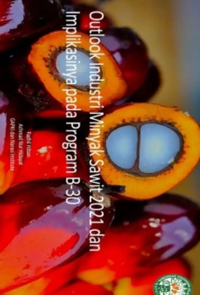 Begini Geliat Bisnis Minyak Sawit 2021 Versi GAPKI