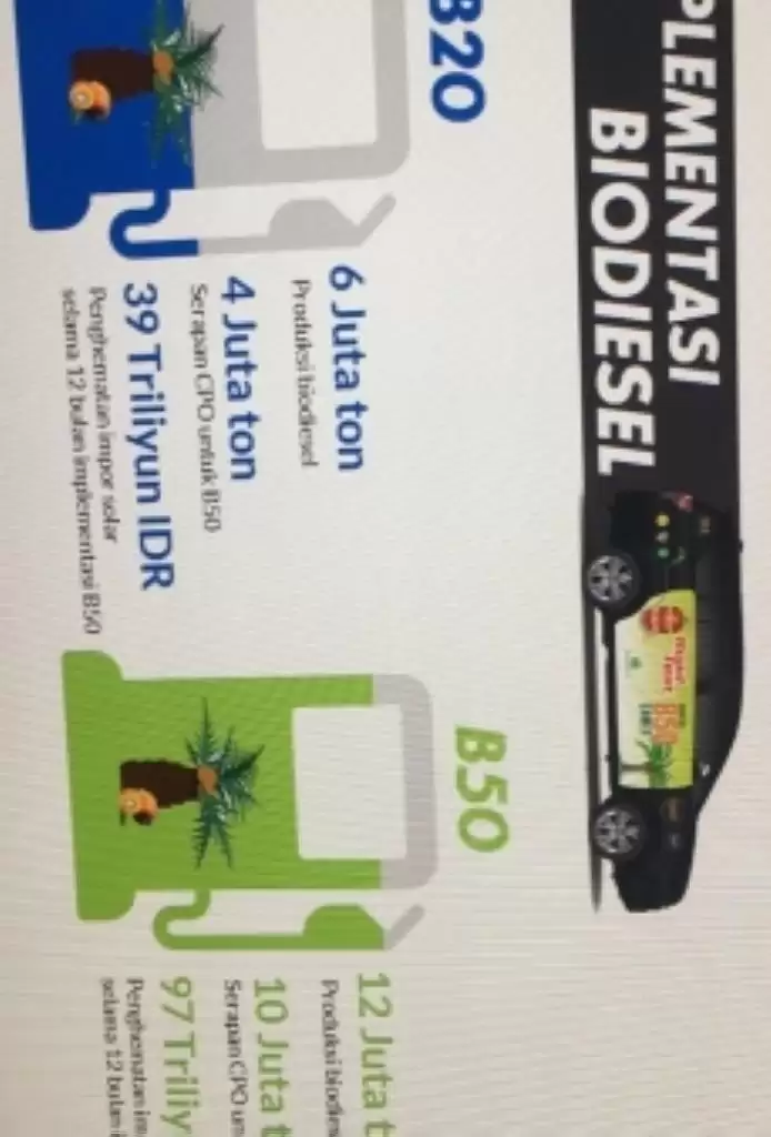 Ekonom INDEF: B50 Bisa, Tapi Duit Tak Cukup