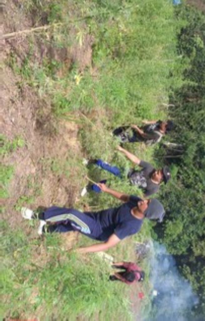 Ladang Ganja Seluas 5 Hektar Ditemukan di Madina, Pasok ke 4 Lapas