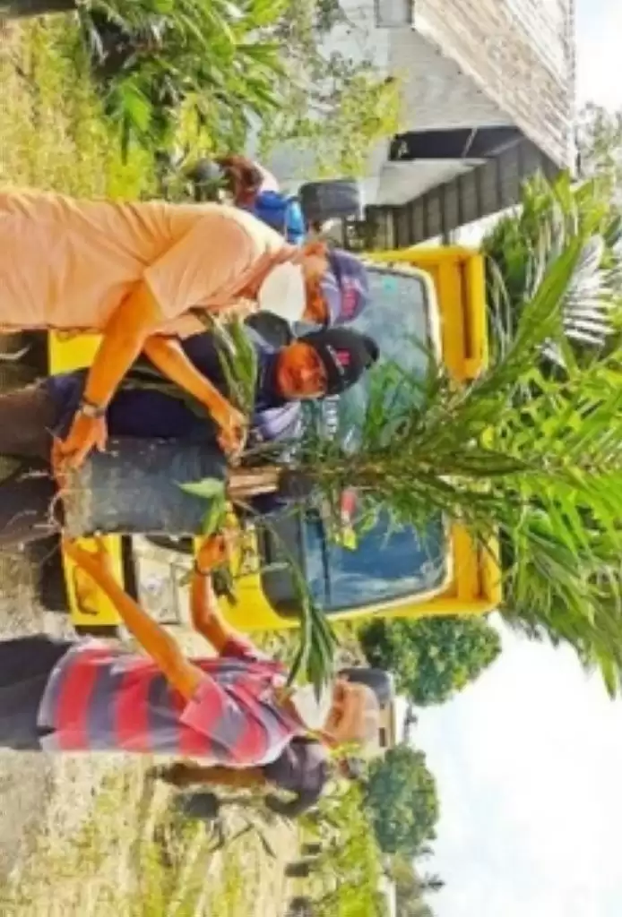 Petani di Daerah Kini Dapat Membeli Bibit Sawit Bersertifikat lewat Aplikasi