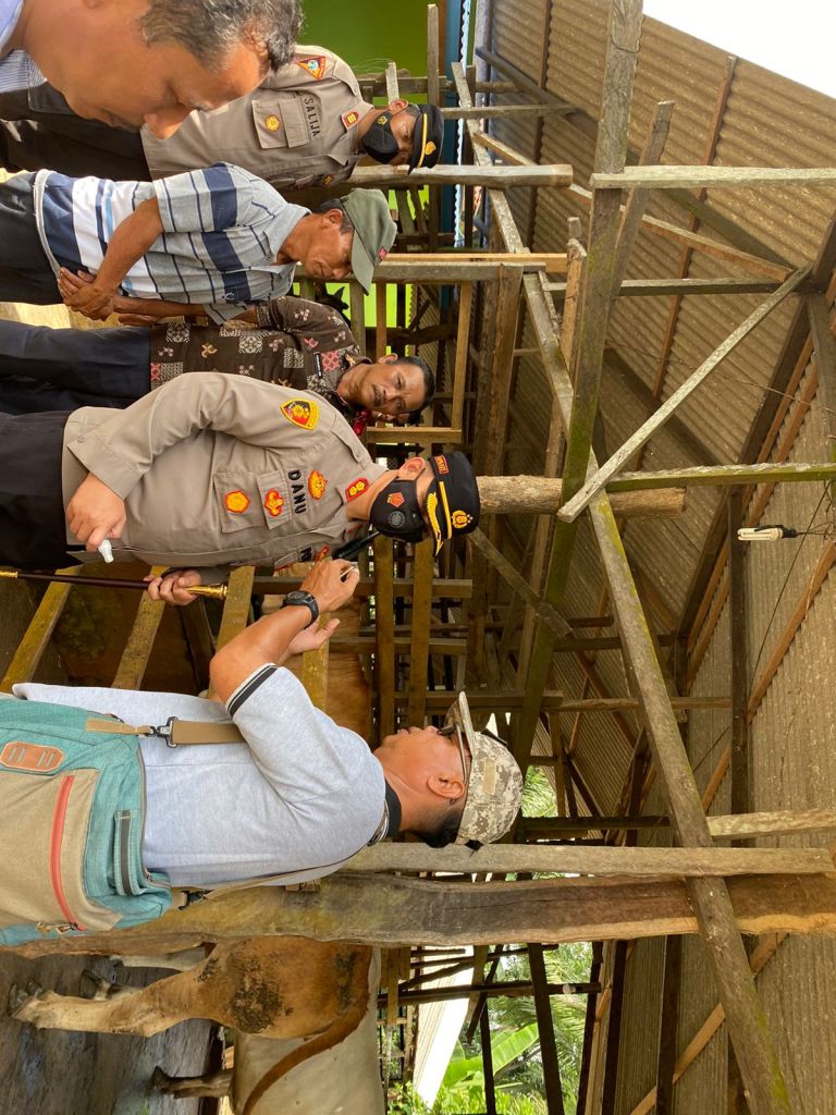 Satres Narkoba Polres Langkat Sita 2 Kg Daun Ganja