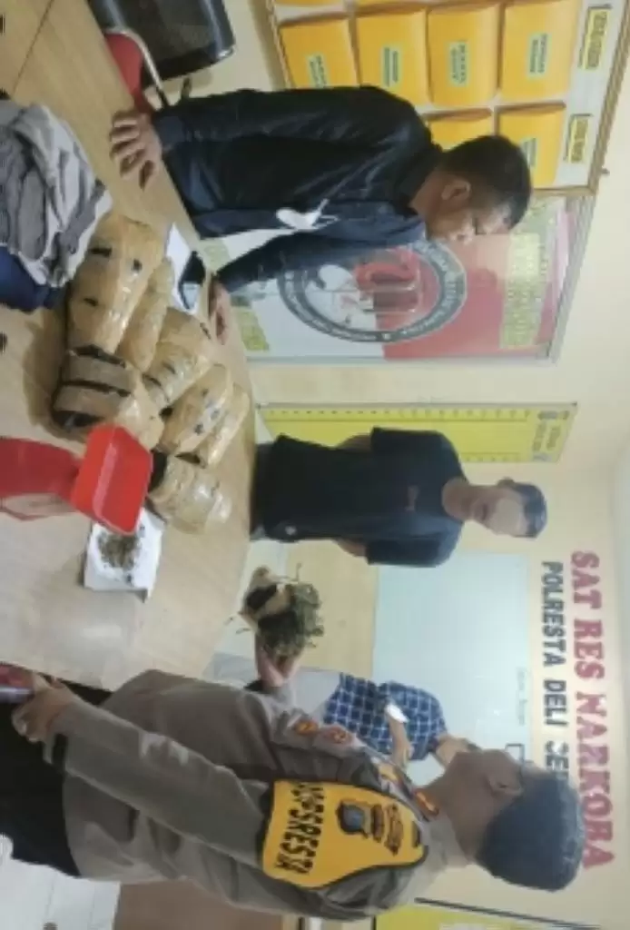 Polresta Deli Serdang Gagalkan Peredaran Ganja Antar Provinsi