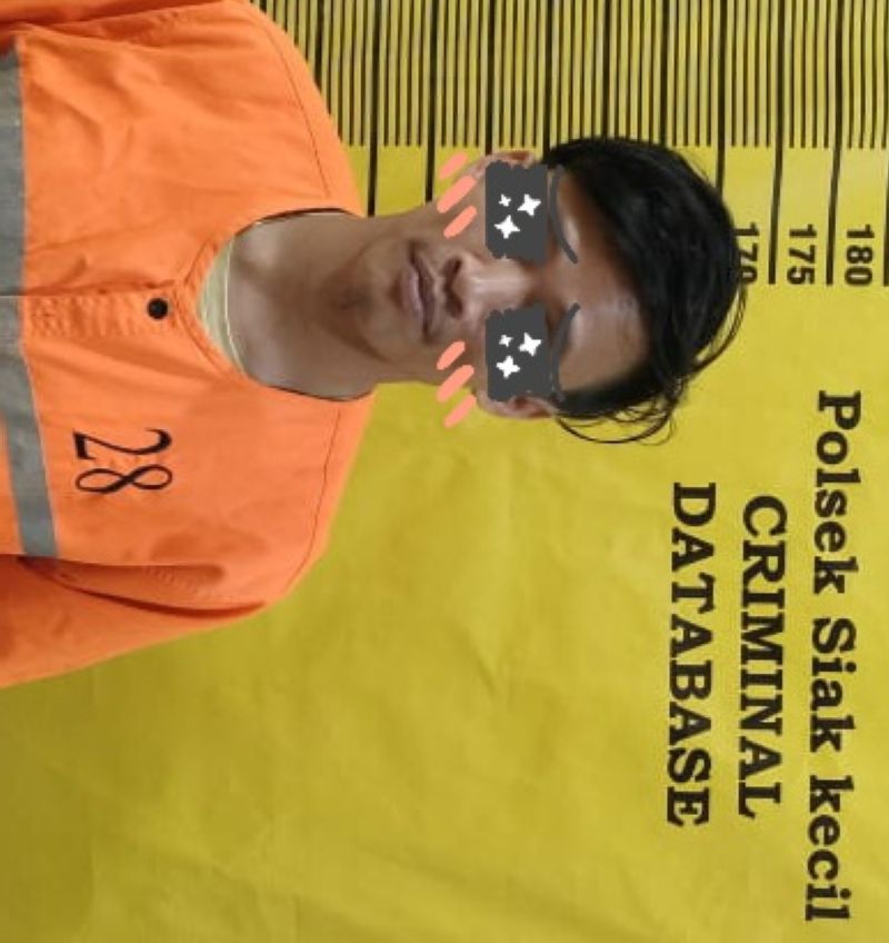 Wak, Ujang Ditangkap Tim Reskrim Polsek Siak Kecil Gegara Sabu