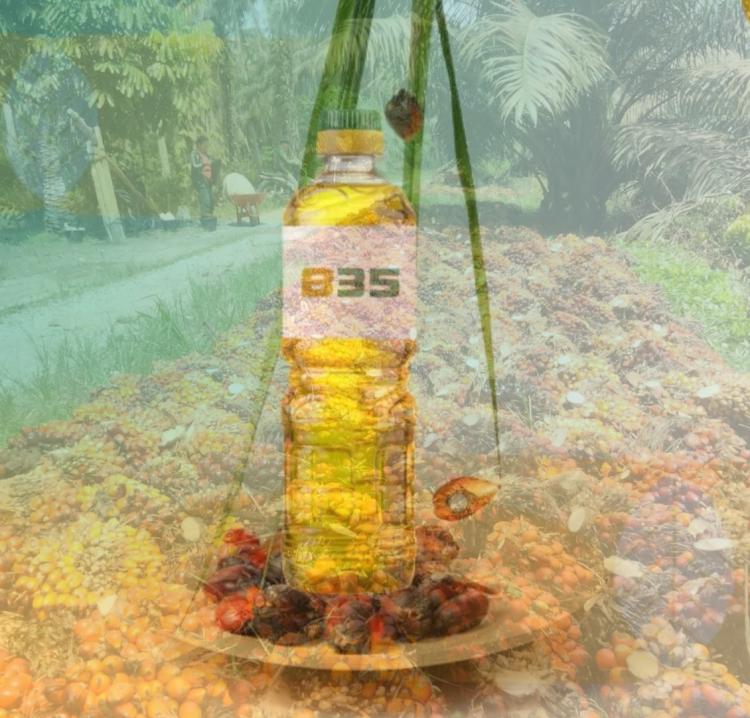 Evolusi Terbaru Industri Sawit Indonesia, Minyak Sawit Sangat Vital Bagi Industri Biodiesel