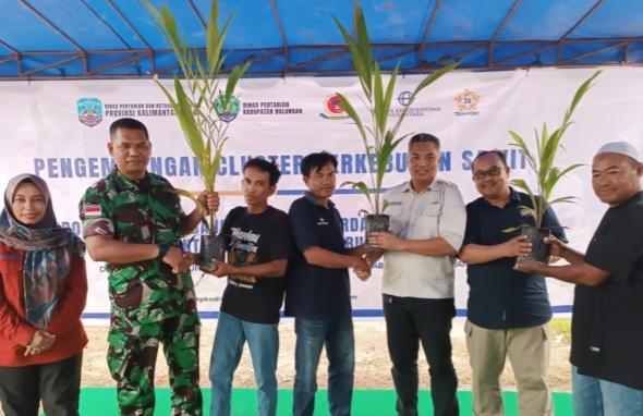 Petani Mandiri Tanjung Agung Sumringah Dapat Bantuan Bibit Sawit Dari PKN