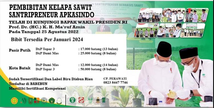 104 Ribu Bibit Sawit Unggul Bersertifikasi dari Pusat Pembibitan Apkasindo Siap Diedarkan
