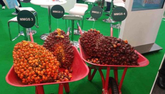 Di BUNEX 2024, Musim Mas Tampilkan 4 Bibit Sawit Seri GS Rendemen Hingga 30 Persen