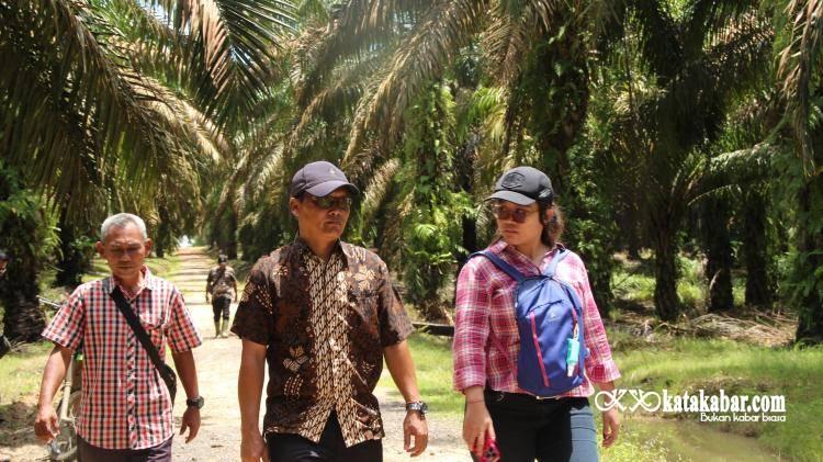 Cerita Pekerja Perempuan Perkebunan Sawit Bernama Griselda