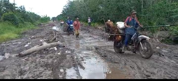 Ruas Jalan Bak Kubangan Bikin Harga Sawit di Siak Kecil Melorot