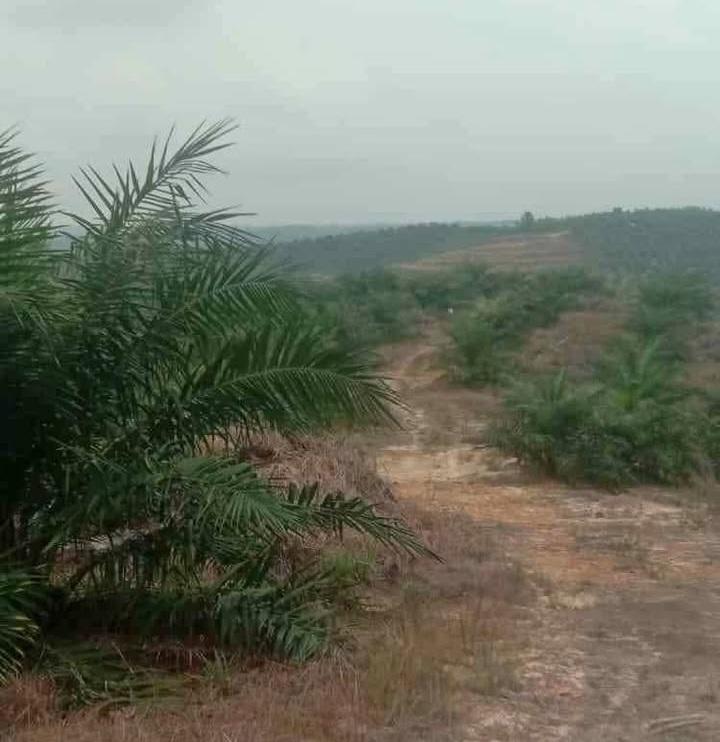 Poktan Makmur I Pantang Menyerah Sebelum Dapat Bantuan Sarpras