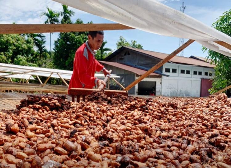 Tentang Regulasi Anti Deforestasi UE dan Kepatuhan Keberlanjutan Industri