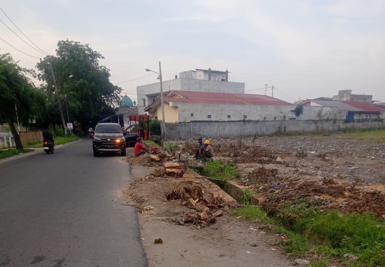 Penebangan Pohon Ilegal di Medan, SDABMBK Ancam Lapor ke APH